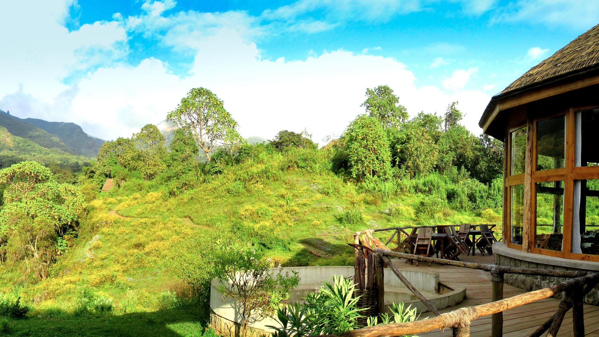 Bale Mountain Lodge 5