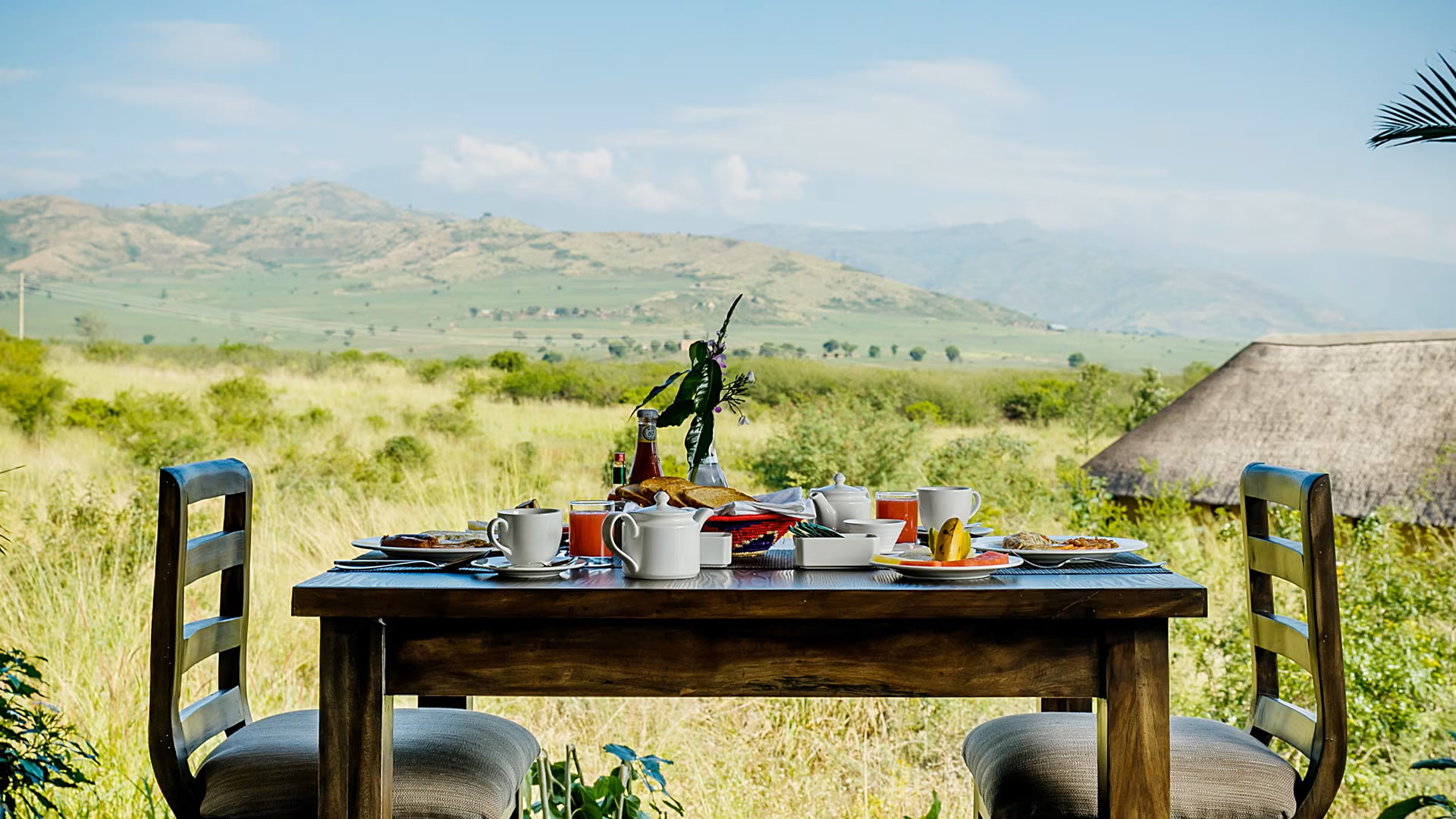 Elephant Plains Lodge