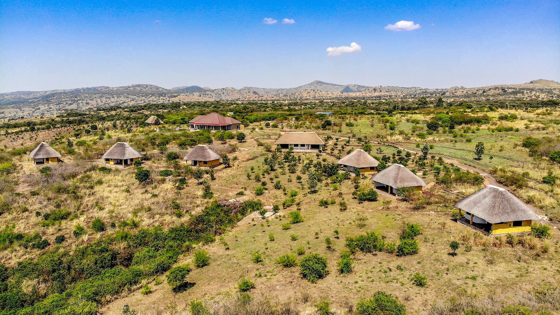Elephant Plains Lodge