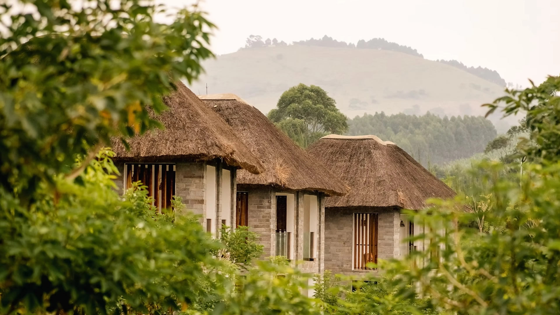 Tabebuia Safari Resort and Spa