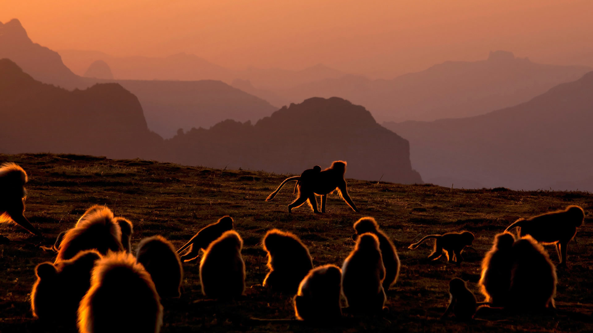 Ethiopia, Off Grid Destination