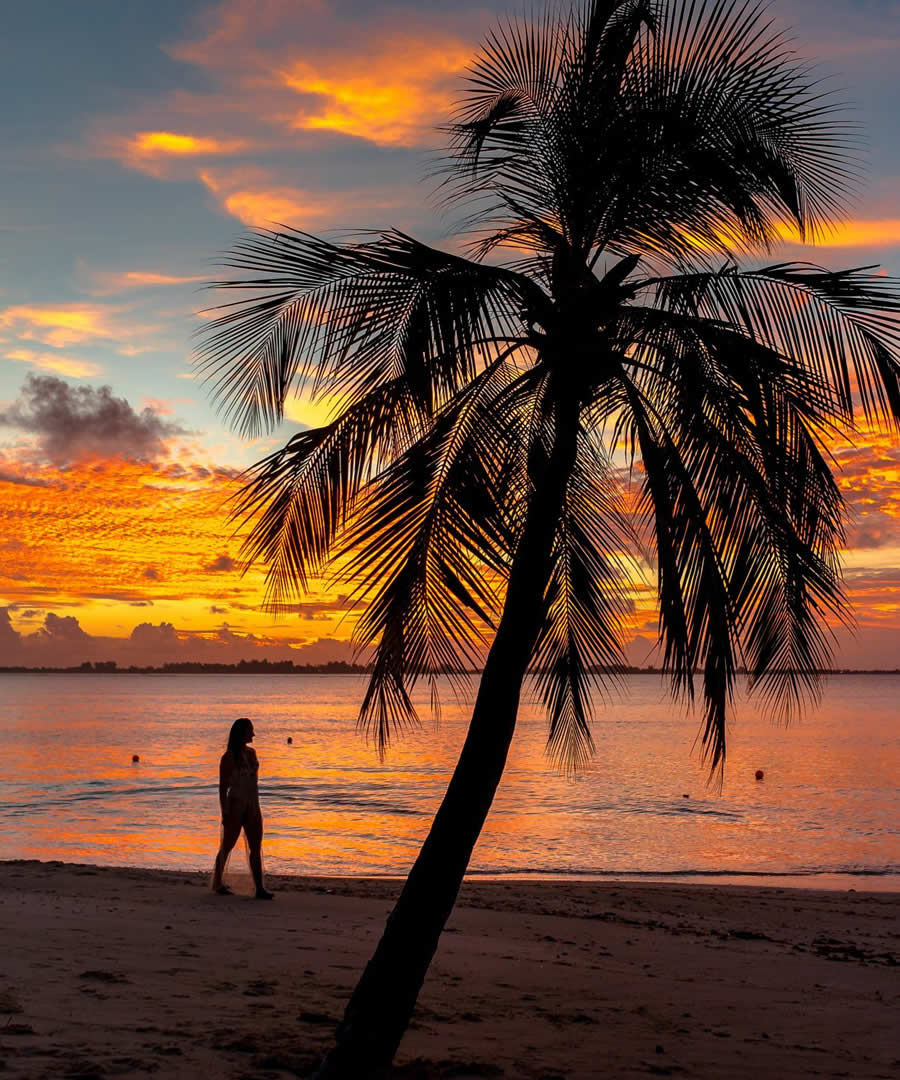 The Kenyan Coast