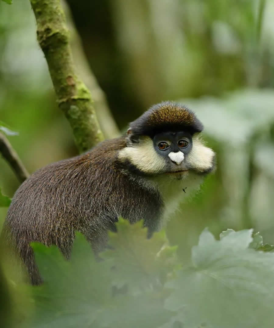 Kibale National Park