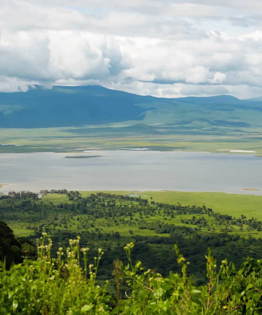Ngorongoro Conservation Area