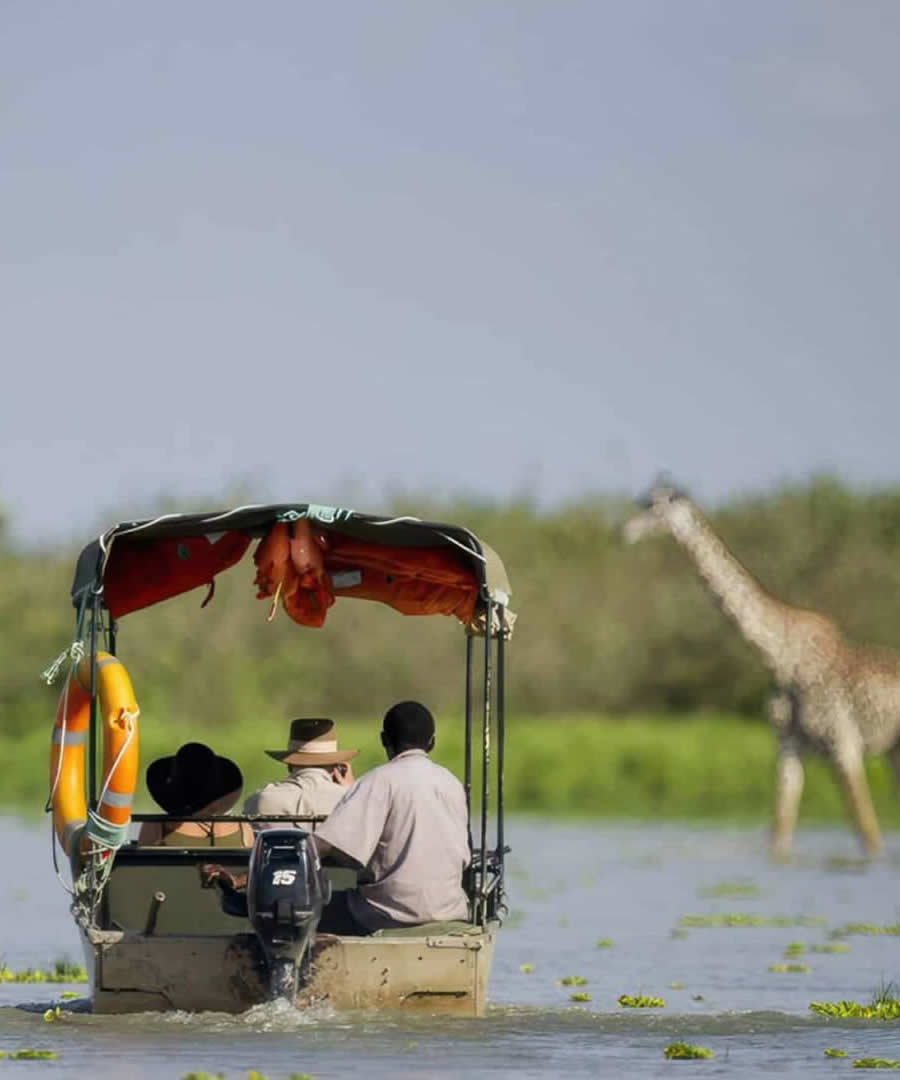 Nyerere National Park