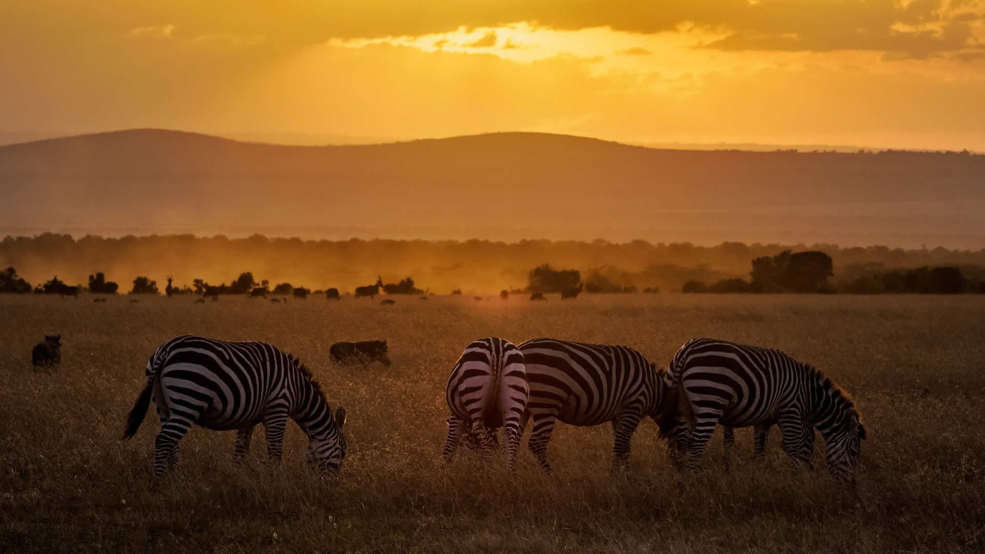 Sunset, Ol Pejeta Conservancy