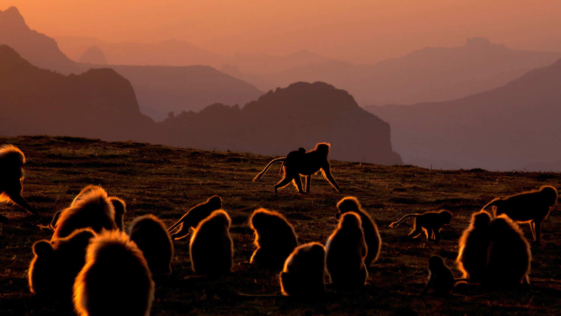 Simien Mountains National Park