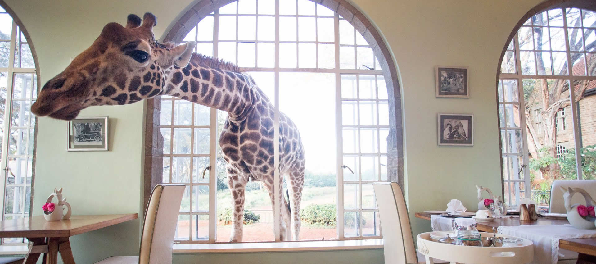 Nairobi Excursions