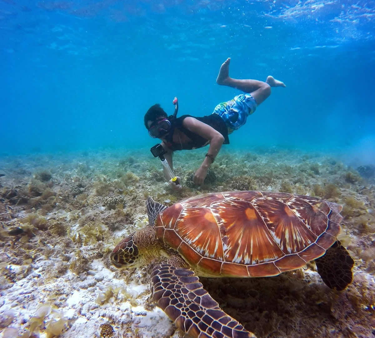 Tumbatu Island